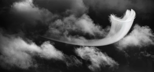 Pene Zboară Vânt — Fotografie, imagine de stoc