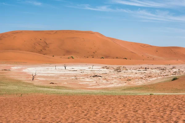 Dune Sabbia Rossa Namibia — Foto Stock