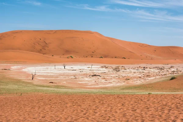 Dunas Arena Roja Namibia — Foto de Stock