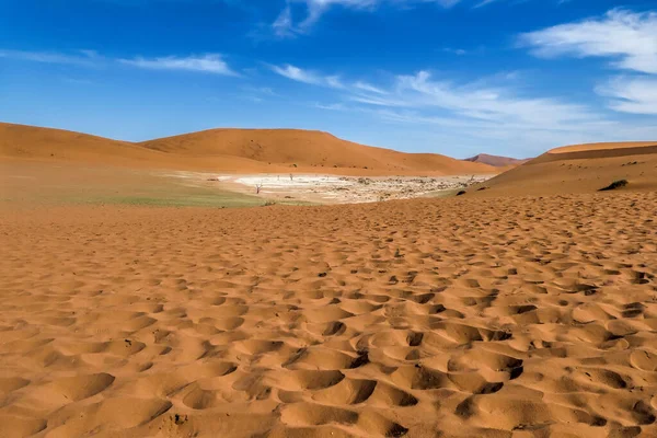 Alberi Morti Nel Parco Naukluft Namibia — Foto Stock