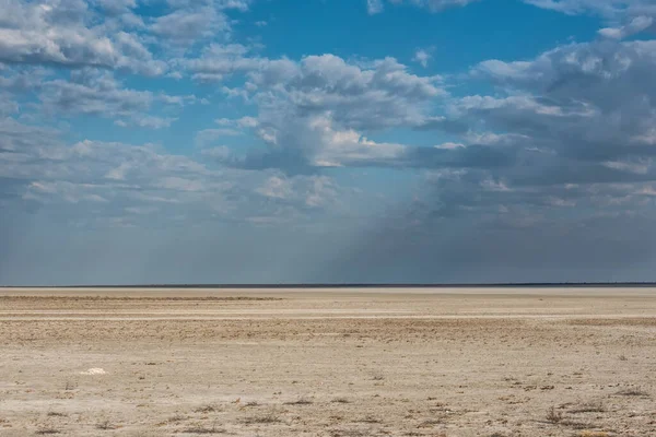 Plain Etosha Namibia — Stock Photo, Image