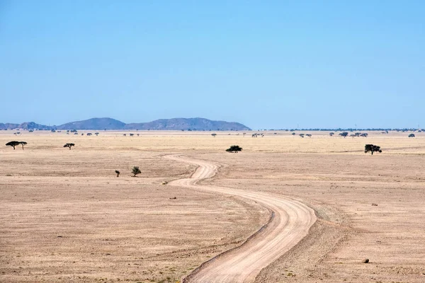 Namib Çölünde Yol — Stok fotoğraf
