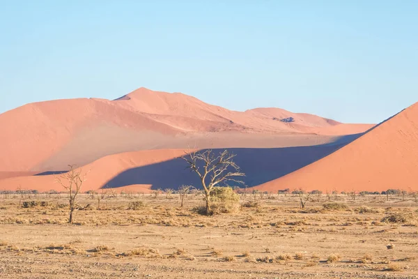 Dune Sabbia Rossa Namibia — Foto Stock