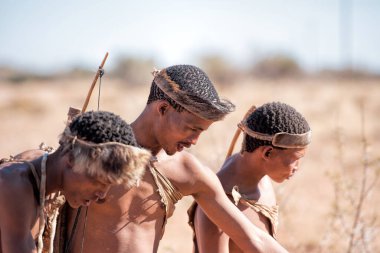 Güneşli bir günde Namibya 'da bushmen