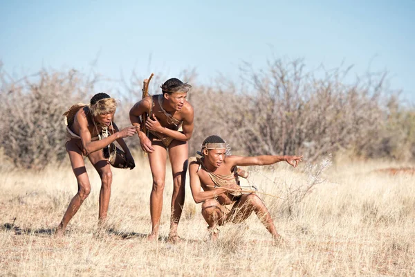 Bushmen Στη Ναμίμπια Την Ηλιόλουστη Μέρα — Φωτογραφία Αρχείου