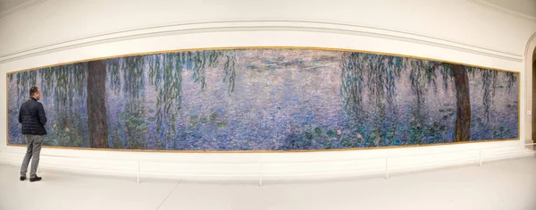 Nymphea Monet — Stock fotografie