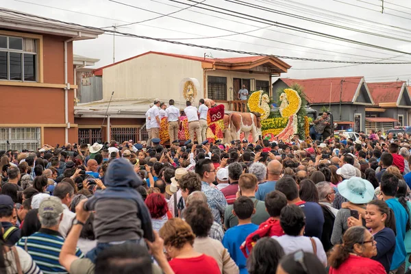 Den Svarta Jungfruns Fest Cartago — Stockfoto