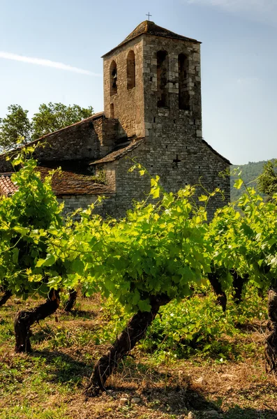 Igreja e vinhas — Fotografia de Stock