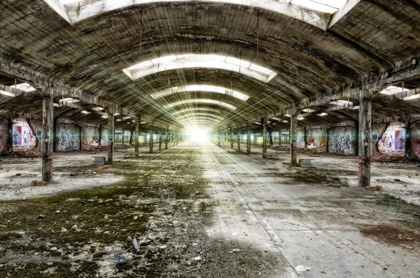 Solstrålarna i fabrik — Stockfoto