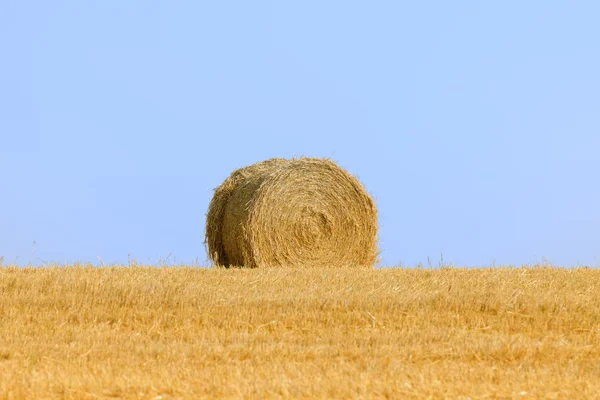 Hay bale — Stock Photo, Image