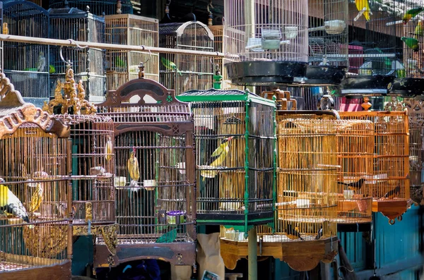 Yogyakarta Bird Market — Stockfoto