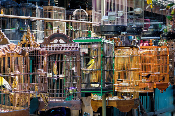 Yogyakarta Bird Market