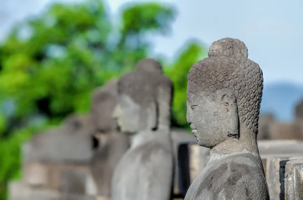 Borobuduren i java — Stockfoto