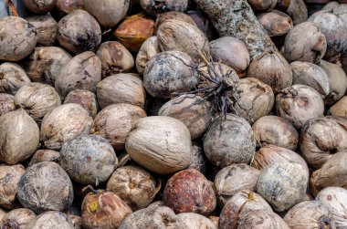 Arka plan olarak hindistancevizi