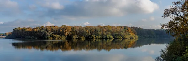 Autumn forest — Stock Photo, Image