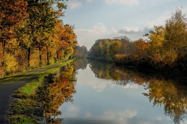 Autumn forest — Stock Photo, Image