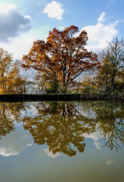 Bella baia con alberi — Foto Stock