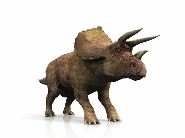 Великі коричневі Triceratops — стокове фото