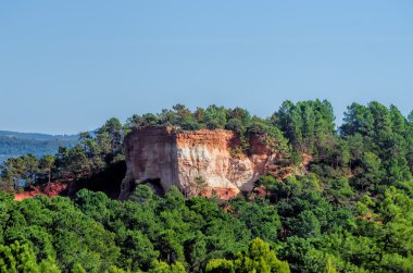 Ağaçları ile güzel rock