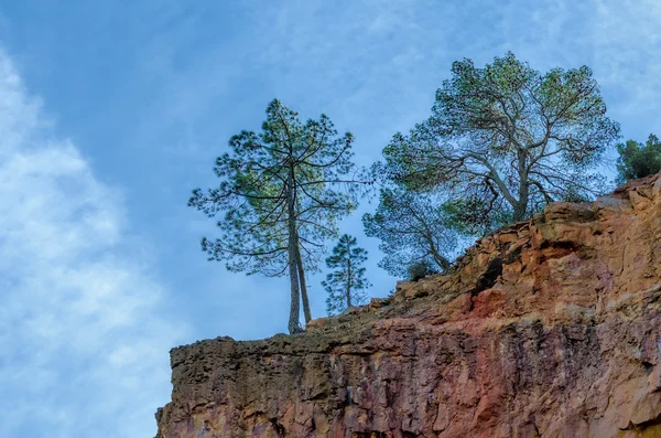 Prachtige rots met bomen — Stockfoto