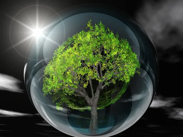 Green tree in bubble — Stock Photo, Image