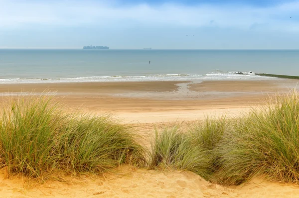 De noordelijke stranden — Stockfoto