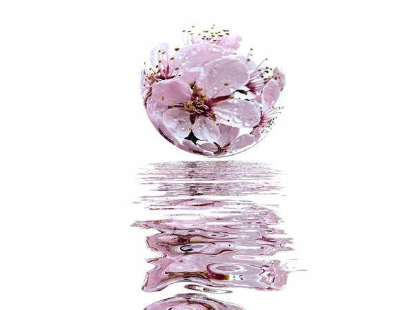 Blomma och vatten — Stockfoto