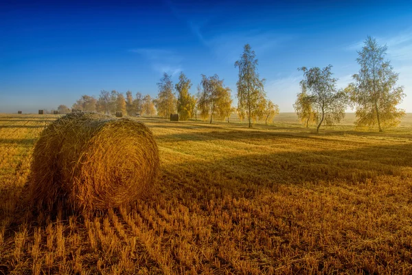 Bale of straw and trees — Stock Photo, Image