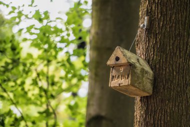 Ahşap kuş evini kapat