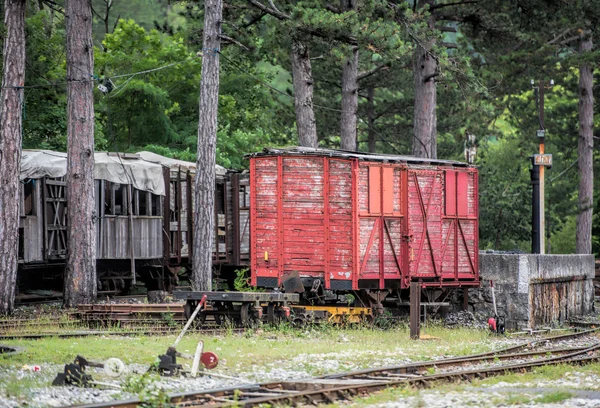 Chariot en bois rouge — Photo