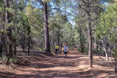 Büyük Kanyon Milli Parkı 'nda yürü