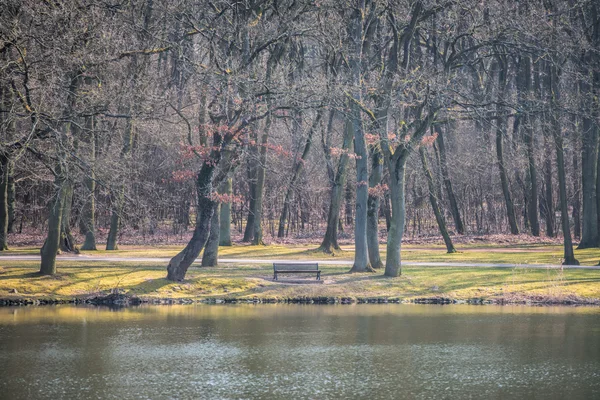 孤独在湖边长椅上 — 图库照片