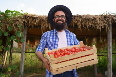 Taze toplanmış domatesli çiftçi portresi
