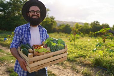 Çiftçi bir kutu sebze tutuyor. Sonbahar hasadı.