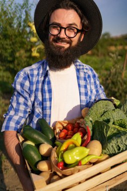 Çiftçi bir kutu sebze tutuyor. Sonbahar hasadı.