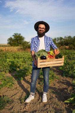 Çiftçi bir kutu sebze tutuyor. Sonbahar hasadı.