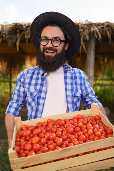 Portret rolnika ze świeżo zebranymi pomidorami — Zdjęcie stockowe