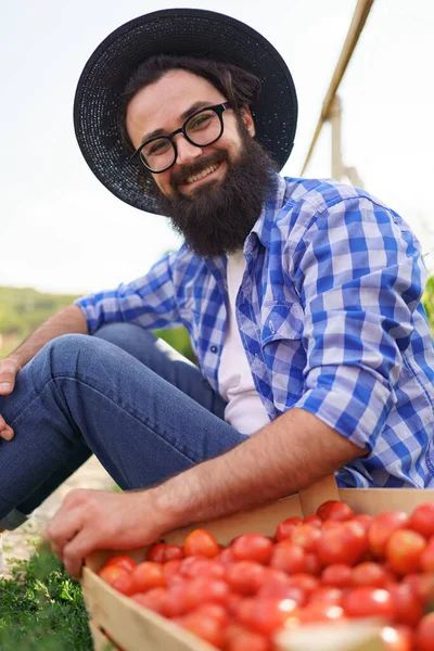 Pewny siebie rolnik siedzący ze świeżymi pomidorami — Zdjęcie stockowe
