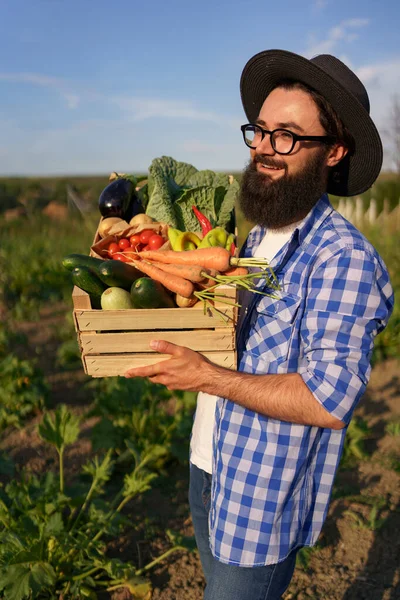Фермер держит коробку с овощами. Осенний сбор. — стоковое фото