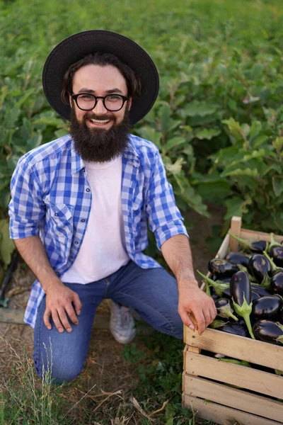 Boer zit bij een veld met aubergine — Stockfoto