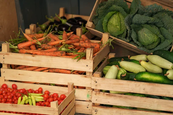 Conceito de entrega de vegetais orgânicos — Fotografia de Stock