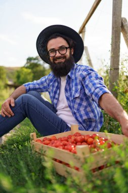 Taze çivili domateslerle oturan kendinden emin çiftçi.