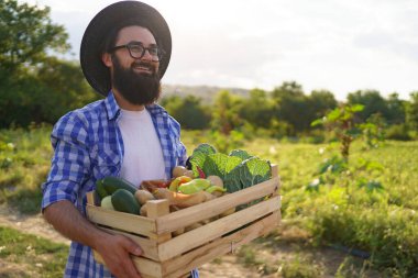 Çiftçi bir kutu sebze tutuyor. Sonbahar hasadı.
