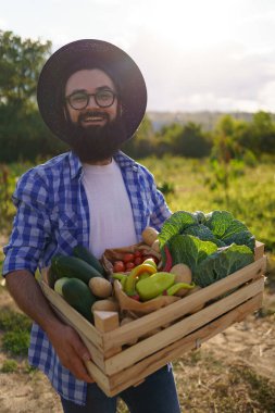 Çiftçi bir kutu sebze tutuyor. Sonbahar hasadı.
