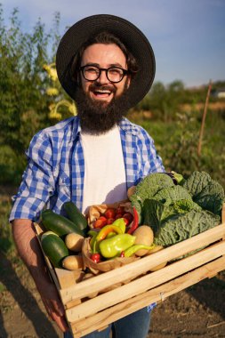 Çiftçi bir kutu sebze tutuyor. Sonbahar hasadı.