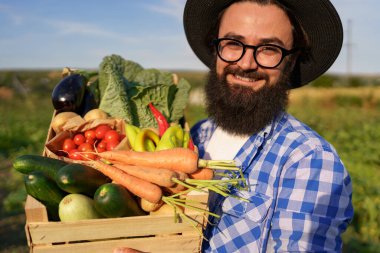 Çiftçi bir kutu sebze tutuyor. Sonbahar hasadı.