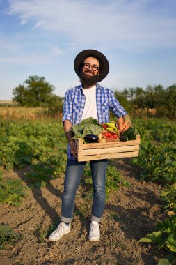 Çiftçi bir kutu sebze tutuyor. Sonbahar hasadı.