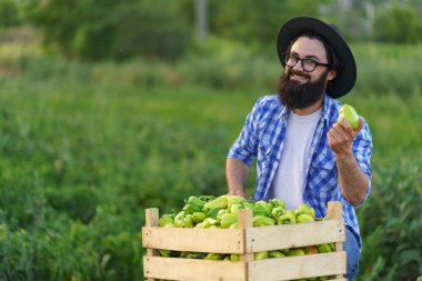 Elinde biber tutan çiftçi gülümsüyor..