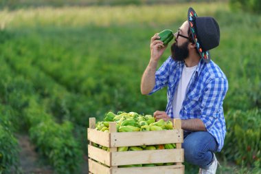 Elinde biber tutan çiftçi gülümsüyor..