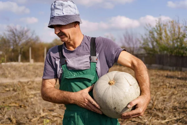 Jesień nadchodzi, rolnik stoi z dynią w rękach — Zdjęcie stockowe